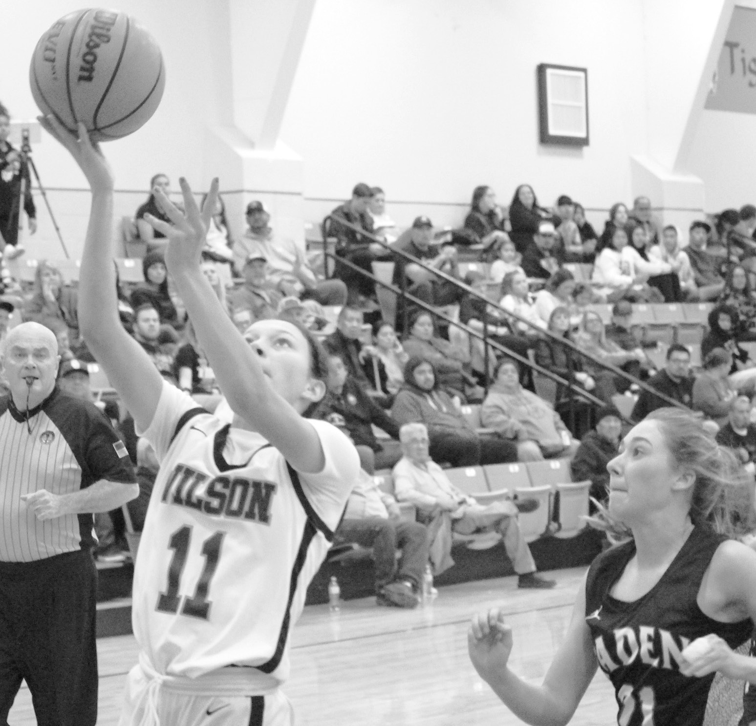 Wilson sweeps Paden in cage opener